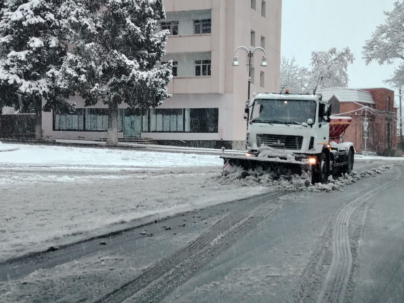 WhatsApp Image 2026-01-14 at 18.22.16.jpeg