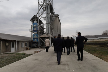 Qax rayonunda aqrar sənayenin inkişafı: “TURAN AQRO” MMC fəaliyyətini genişləndirir