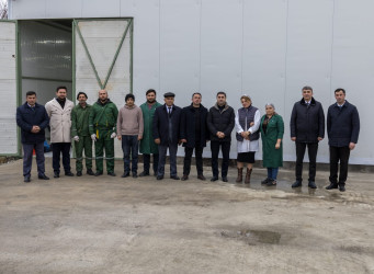 Qaxın “GoodAqro” müəssisəsi fəaliyyətini genişləndirir