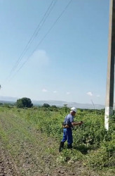 Qax Elektrik Şəbəkəsinin (EŞ) xidməti ərazisində istehlakçıların keyfiyyətli və fasiləsiz elektrik enerjisi ilə təmin edilməsi, həmçinin baş verə biləcək qəza hallarının qarşısının alınması məqsədilə cari ilin iyun ayı ərzində genişhəcmli təmir, bərpa və abadlıq işləri icra olunmuşdur