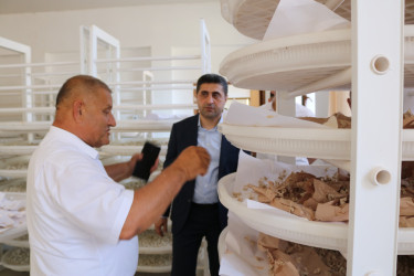 Baramaçılıq mövsümi gəlir mənbəyidir