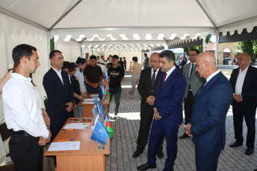 Müasir dövrdə hər bir dövlətin sosial-iqtisadi siyasətinin prioritet istiqamətlərindən birini səmərəli məşğulluq strategiyasının formalaşdırılması və əmək bazarının müasir çağırışlara uyğun tənzimlənməsi təşkil edir