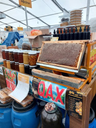 Azərbaycanda arıçılıq həm qədim ənənələrə malik, həm də müasir dövrdə iqtisadi baxımdan ən perspektivli sahələrdən biridir