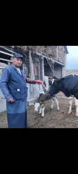 Aqrar sahə respublikamızın digər bölgələrində olduğu kimi rayonumuzda da sürətlə inkişaf etməkdədir