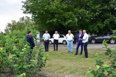 Qax rayonunda da müasir intensiv bağçılıq, fındıqçılıq və digər kənd təsərrüfatı sahələri sürətlə inkişaf edir. Bu sahələr yeni iş yerlərinin açılmasına və məhsuldarlığın artmasına kömək edir