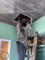 Rayonda qəhvəyi mərmər bağacığına qarşı əhali arasında maarifləndirmə, monitorinqlər və mübarizə tədbirləri davam etdirilir