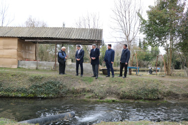 Qax Rayon İcra Hakimiyyətinin başçısı Elvin Paşayev “Qax Balıq” (Gakh Fish) təsərrüfatı ilə tanış olub