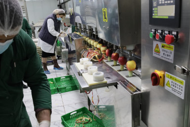 Qaxın “GoodAqro” müəssisəsi fəaliyyətini genişləndirir