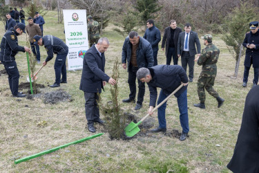 Azərbaycan Respublikasında 2026-cı ilin “Şəhərsalma və Memarlıq İli” elan edilməsi ilə əlaqədar rayon üzrə Tədbirlər Planına uyğun olaraq ağacəkmə aksiyası keçirilmişdir
