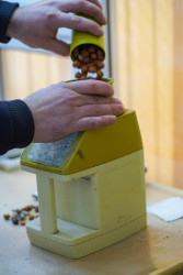 Ölkəmizdə kənd təsərrüfatının bitkiçilik sahəsinin ənənəvi və önəmli istiqamətlərindən biri də fındıqçılıqdır