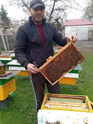 Azərbaycanda arıçılıq həm qədim ənənələrə malik, həm də müasir dövrdə iqtisadi baxımdan ən perspektivli sahələrdən biridir