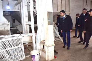 Ölkəmizdə kənd təsərrüfatının bitkiçilik sahəsinin ənənəvi və önəmli istiqamətlərindən biri də fındıqçılıqdır