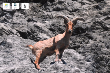 Milli Park 13966,0 hektar sahəni əhatə edir.