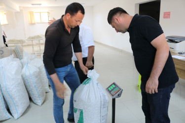 Baramaçılıq mövsümi gəlir mənbəyidir