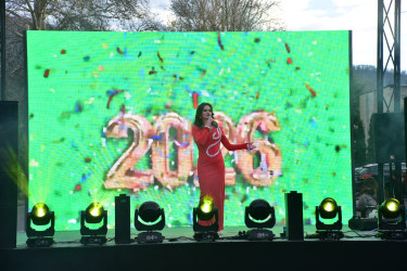 31 Dekabr Dünya Azərbaycanlılarının Həmrəyliyi Günü və Yeni İl   münasibətilə ilə əlaqədar möhtəşəm konsert proqramı təşkil olunub.