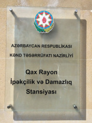 Stansiyanın ərazisində 3 hektar sahədə Çin texnologiyası əsasında intensiv tipli tut bağları salınıb.