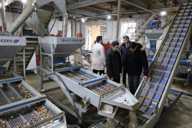 Qax Rayon İcra Hakimiyyətinin başçısı Elvin Paşayev “ATU TRANS” MMC-nin fəaliyyəti ilə tanış olub