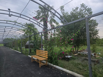 "Doctorbio" Qax Eco Parkının açılışı olub