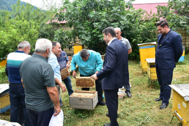 Azərbaycan Respublikasında kənd təsərrüfatının, o cümlədən arıçılığın inkişafı dövlət siyasətinin prioritet istiqamətlərindən biridir