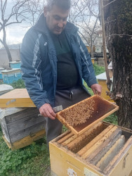 Azərbaycanda arıçılıq həm qədim ənənələrə malik, həm də müasir dövrdə iqtisadi baxımdan ən perspektivli sahələrdən biridir