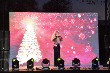 31 Dekabr Dünya Azərbaycanlılarının Həmrəyliyi Günü və Yeni İl   münasibətilə ilə əlaqədar möhtəşəm konsert proqramı təşkil olunub.