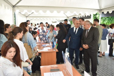 Müasir dövrdə hər bir dövlətin sosial-iqtisadi siyasətinin prioritet istiqamətlərindən birini səmərəli məşğulluq strategiyasının formalaşdırılması və əmək bazarının müasir çağırışlara uyğun tənzimlənməsi təşkil edir