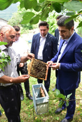 Azərbaycan Respublikasında kənd təsərrüfatının, o cümlədən arıçılığın inkişafı dövlət siyasətinin prioritet istiqamətlərindən biridir