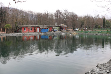 Qax Rayon İcra Hakimiyyətinin başçısı Elvin Paşayev “Qax Balıq” (Gakh Fish) təsərrüfatı ilə tanış olub