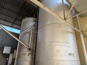 Ölkəmizdə kənd təsərrüfatının bitkiçilik sahəsinin ənənəvi və önəmli istiqamətlərindən biri də fındıqçılıqdır