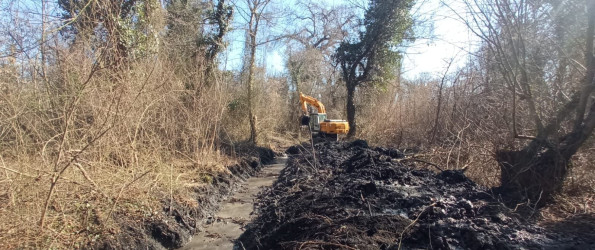 Səyyar qəbullar zamanı irəli sürülən rəy və təkliflər nəzərə alınaraq aidiyyatı qurumlara yönləndirilmişdir və onların həlli istiqamətində təxirəsalınmaz tədbirlər görülür. Beləki Qax rayonunda suvarma mövsümünə hazırlıq və sel sularından mühafizə tədbirləri uğurla davam etdirilir.