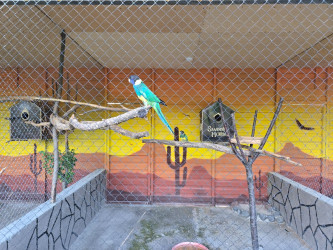 "Doctorbio" Qax Eco Parkının açılışı olub