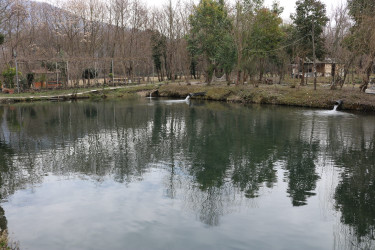 Qax Rayon İcra Hakimiyyətinin başçısı Elvin Paşayev “Qax Balıq” (Gakh Fish) təsərrüfatı ilə tanış olub