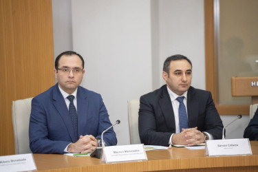 Zaqatalada qəhvəyi mərmər bağacığına qarşı mübarizə tədbirləri müzakirə edilib