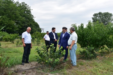 Qax rayonunda da müasir intensiv bağçılıq, fındıqçılıq və digər kənd təsərrüfatı sahələri sürətlə inkişaf edir. Bu sahələr yeni iş yerlərinin açılmasına və məhsuldarlığın artmasına kömək edir