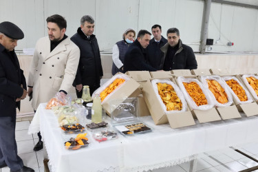 Qaxın “GoodAqro” müəssisəsi fəaliyyətini genişləndirir