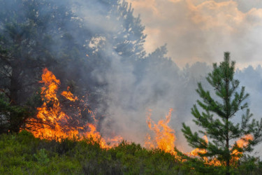 İsti yay günlərində ehtimalı daha çox olan xoşagəlməz hadisələrdən  biri də yanğınlardır