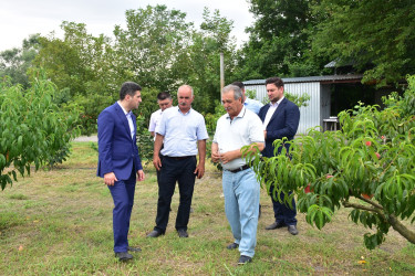 Qax rayonunda da müasir intensiv bağçılıq, fındıqçılıq və digər kənd təsərrüfatı sahələri sürətlə inkişaf edir. Bu sahələr yeni iş yerlərinin açılmasına və məhsuldarlığın artmasına kömək edir