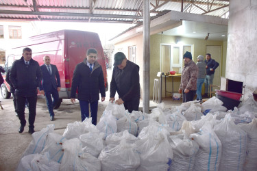 Ölkəmizdə kənd təsərrüfatının bitkiçilik sahəsinin ənənəvi və önəmli istiqamətlərindən biri də fındıqçılıqdır