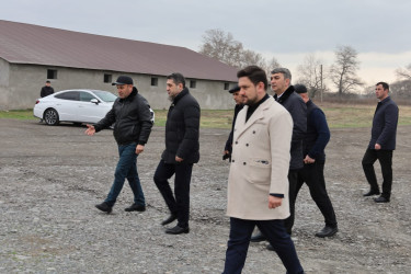 Qax rayonunda aqrar sənayenin inkişafı: “TURAN AQRO” MMC fəaliyyətini genişləndirir