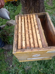 Azərbaycanda arıçılıq həm qədim ənənələrə malik, həm də müasir dövrdə iqtisadi baxımdan ən perspektivli sahələrdən biridir