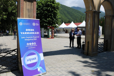Müasir dövrdə hər bir dövlətin sosial-iqtisadi siyasətinin prioritet istiqamətlərindən birini səmərəli məşğulluq strategiyasının formalaşdırılması və əmək bazarının müasir çağırışlara uyğun tənzimlənməsi təşkil edir
