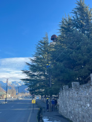 Qax Rayon İcra Hakimiyyətinin başçısı tərəfindən keçirilən səyyar qəbullarda vətəndaşlar tərəfindən irəli sürülmüş rəy və təkliflər xüsusi nəzarətə götürülür