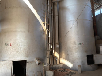 Ölkəmizdə kənd təsərrüfatının bitkiçilik sahəsinin ənənəvi və önəmli istiqamətlərindən biri də fındıqçılıqdır