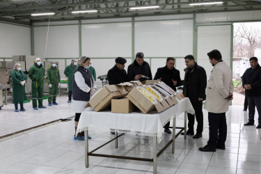 Qaxın “GoodAqro” müəssisəsi fəaliyyətini genişləndirir