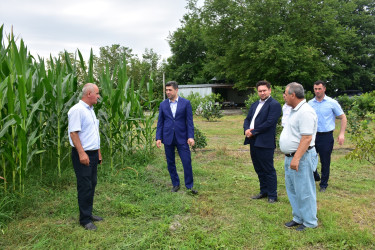 Qax rayonunda da müasir intensiv bağçılıq, fındıqçılıq və digər kənd təsərrüfatı sahələri sürətlə inkişaf edir. Bu sahələr yeni iş yerlərinin açılmasına və məhsuldarlığın artmasına kömək edir