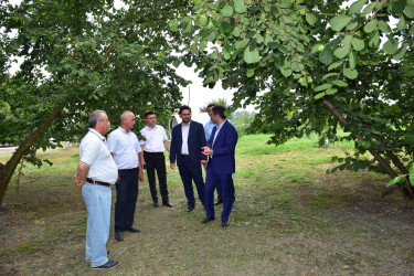 Qax rayonunda da müasir intensiv bağçılıq, fındıqçılıq və digər kənd təsərrüfatı sahələri sürətlə inkişaf edir. Bu sahələr yeni iş yerlərinin açılmasına və məhsuldarlığın artmasına kömək edir