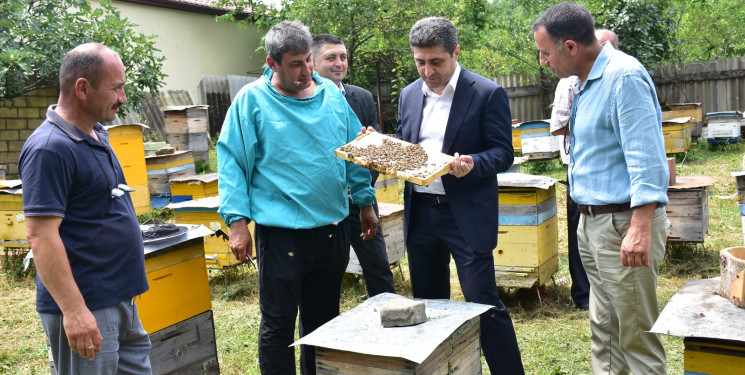 Azərbaycan Respublikasında kənd təsərrüfatının, o cümlədən arıçılığın inkişafı dövlət siyasətinin prioritet istiqamətlərindən biridir