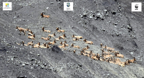 Milli Park 13966,0 hektar sahəni əhatə edir.