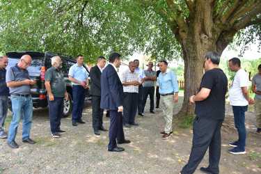 Azərbaycan Respublikasında kənd təsərrüfatının, o cümlədən arıçılığın inkişafı dövlət siyasətinin prioritet istiqamətlərindən biridir
