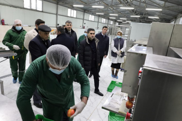 Qaxın “GoodAqro” müəssisəsi fəaliyyətini genişləndirir